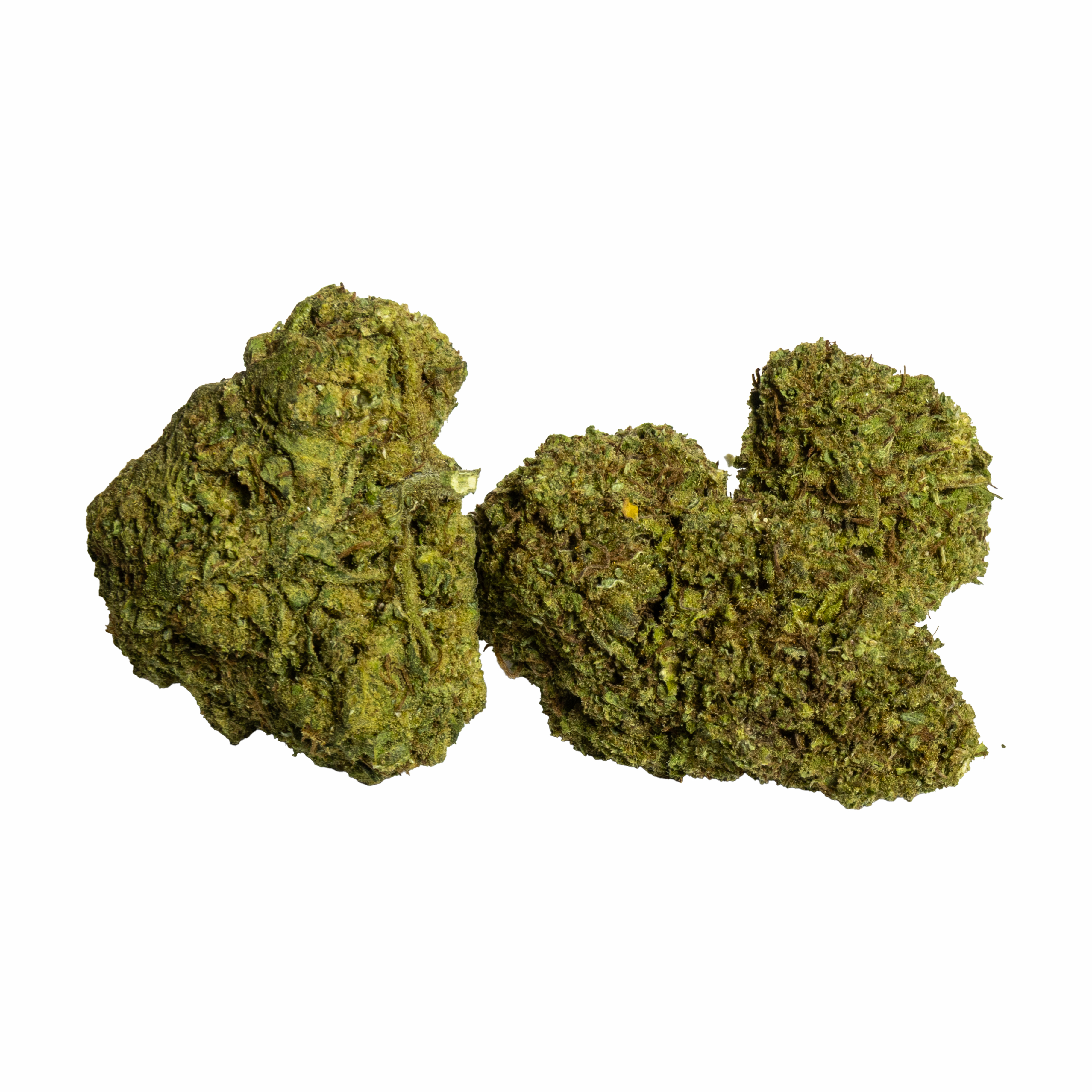 Culture CBD artisanale Presqu'île Guérandaise